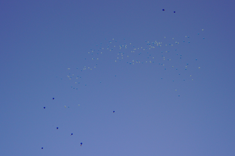 1660438382436674.jpg _DSC9991_副本.jpg